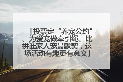 投票定“养宠公约”、为爱宠做牵引绳、比拼谁家人宠最默契，这场活动有趣更有意义