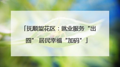抚顺望花区：就业服务“出圈” 居民幸福“加码”