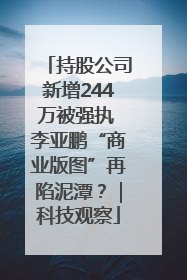 持股公司新增244万被强执 李亚鹏“商业版图”再陷泥潭？｜科技观察