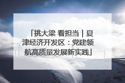 挑大梁 看担当｜夏津经济开发区：党建领航高质量发展新实践
