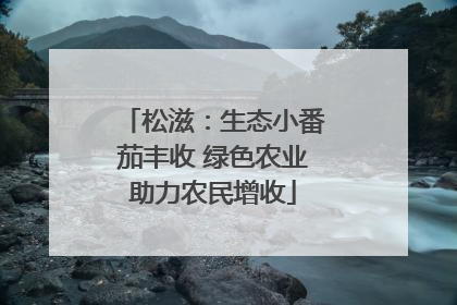 松滋：生态小番茄丰收 绿色农业助力农民增收