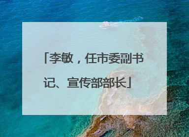 李敏，任市委副书记、宣传部部长