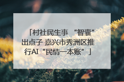 村社民生事 “智囊”出点子 嘉兴市秀洲区推行AI“民情一本账”