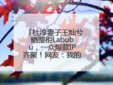 杜淳妻子王灿兮晒整柜Labubu，一众爆款IP齐聚！网友：我的 “梦中情柜”