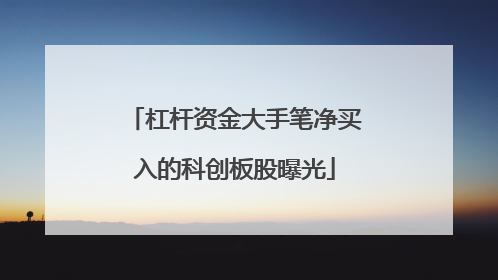 杠杆资金大手笔净买入的科创板股曝光