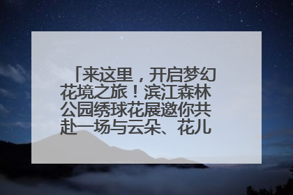 来这里，开启梦幻花境之旅！滨江森林公园绣球花展邀你共赴一场与云朵、花儿的浪漫之约