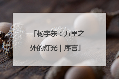 杨宇东：万里之外的灯光｜序言