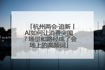 杭州两会·追新丨AI如何让消费突围？场景和路径成了会场上的高频词