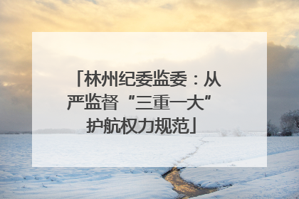 林州纪委监委：从严监督“三重一大” 护航权力规范