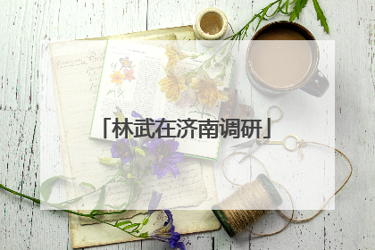 林武在济南调研