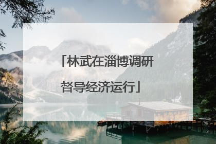 林武在淄博调研督导经济运行