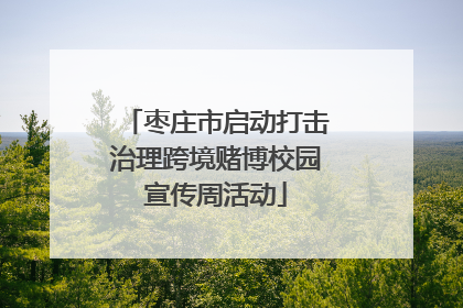 枣庄市启动打击治理跨境赌博校园宣传周活动
