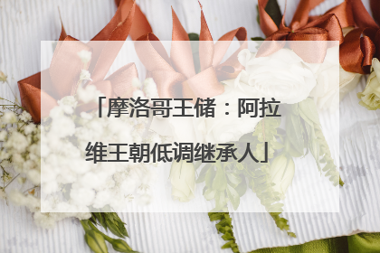 摩洛哥王储：阿拉维王朝低调继承人