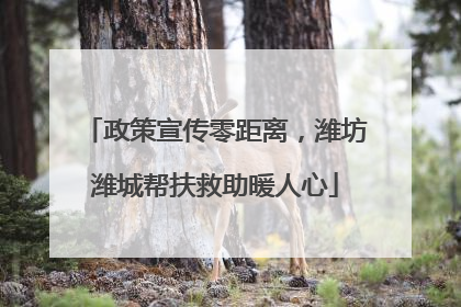 政策宣传零距离，潍坊潍城帮扶救助暖人心