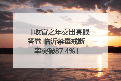收官之年交出亮眼答卷 临沂禁毒戒断率突破87.4%