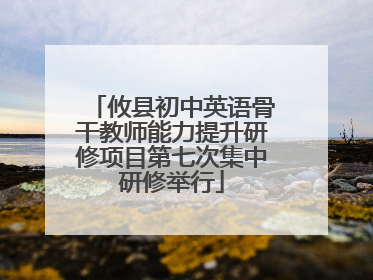 攸县初中英语骨干教师能力提升研修项目第七次集中研修举行