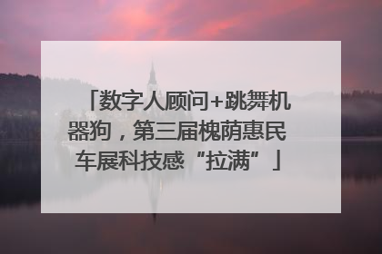 数字人顾问+跳舞机器狗，第三届槐荫惠民车展科技感“拉满”