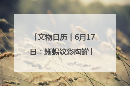 文物日历｜6月17日：蜥蜴纹彩陶罐