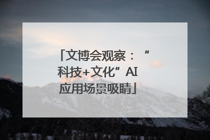 文博会观察：“科技+文化”AI应用场景吸睛