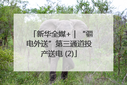 新华全媒+｜“疆电外送”第三通道投产送电 (2)