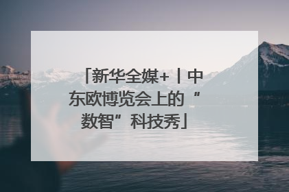 新华全媒+丨中东欧博览会上的“数智”科技秀