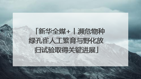 新华全媒+丨濒危物种绿孔雀人工繁育与野化放归试验取得关键进展
