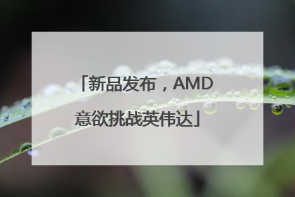 新品发布，AMD意欲挑战英伟达