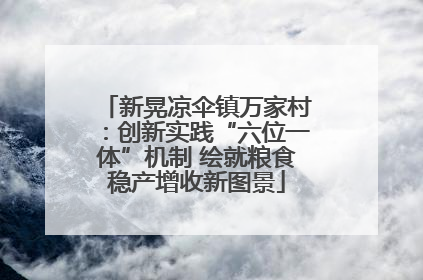 新晃凉伞镇万家村：创新实践“六位一体”机制 绘就粮食稳产增收新图景