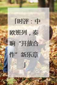 时评：中欧班列，奏响“开放合作”新乐章