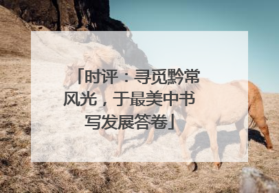 时评：寻觅黔常风光，于最美中书写发展答卷