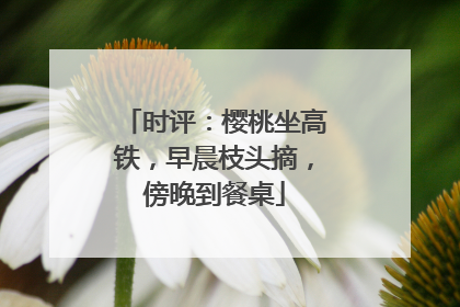 时评：樱桃坐高铁，早晨枝头摘，傍晚到餐桌