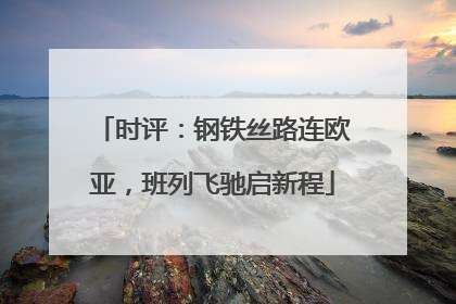 时评：钢铁丝路连欧亚，班列飞驰启新程