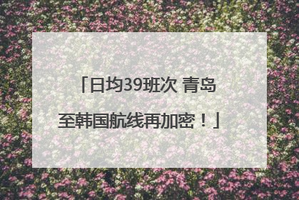 日均39班次 青岛至韩国航线再加密！