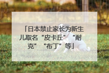 日本禁止家长为新生儿取名“皮卡丘”“耐克”“布丁”等