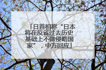日首相称“日本将在反省过去历史基础上不做侵略国家”，中方回应