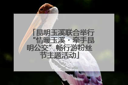 昆明玉溪联合举行“情暖玉溪・牵手昆明公交”畅行游粉丝节主题活动