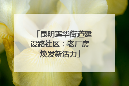 昆明莲华街道建设路社区：老厂房焕发新活力