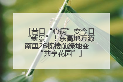 昔日“心病”变今日“新景”！东高地万源南里26栋楼前绿地变“共享花园”