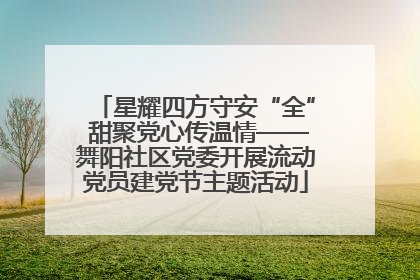 星耀四方守安“全” 甜聚党心传温情——舞阳社区党委开展流动党员建党节主题活动