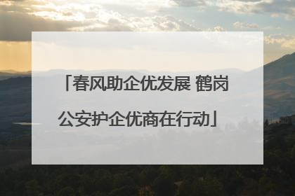 春风助企优发展 鹤岗公安护企优商在行动