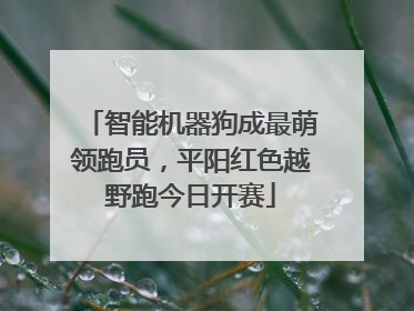 智能机器狗成最萌领跑员，平阳红色越野跑今日开赛