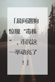 晨间遛狗惊现“毒株”，市民这一举动亮了！