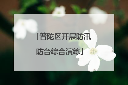 普陀区开展防汛防台综合演练
