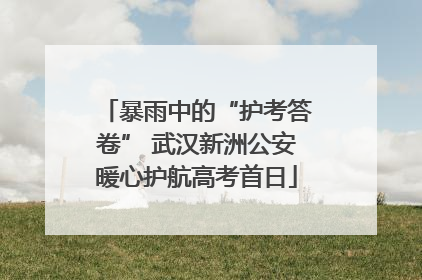 暴雨中的“护考答卷” 武汉新洲公安暖心护航高考首日