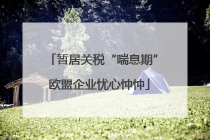 暂居关税“喘息期” 欧盟企业忧心忡忡