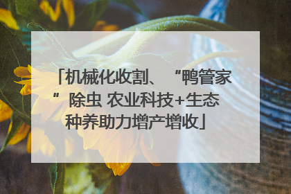 机械化收割、“鸭管家”除虫 农业科技+生态种养助力增产增收