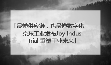 最懂供应链，也最懂数字化——京东工业发布Joy Industrial 重塑工业未来