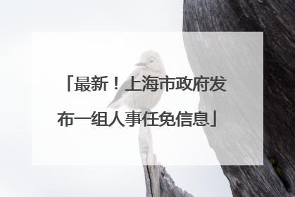最新！上海市政府发布一组人事任免信息
