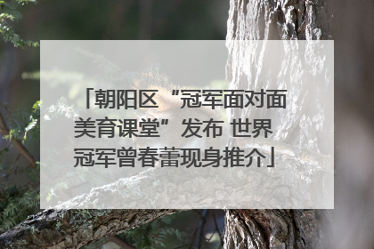 朝阳区“冠军面对面美育课堂”发布 世界冠军曾春蕾现身推介