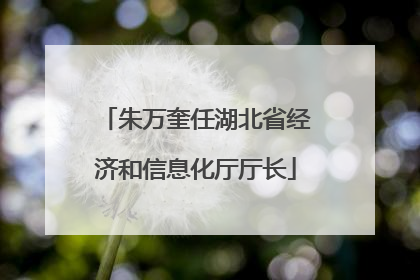 朱万奎任湖北省经济和信息化厅厅长